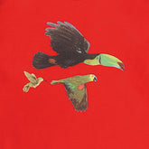 tunic made of cotton (organic)